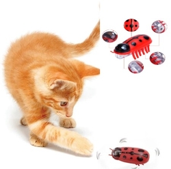 CHAT - Chat Pilli Uğur Böceği Kedi Oyuncak